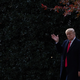 President Donald Trump at the White House on November 14, 2019